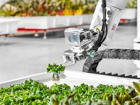 This Robotic Farming System Could Be the Answer to Labor Shortages ...