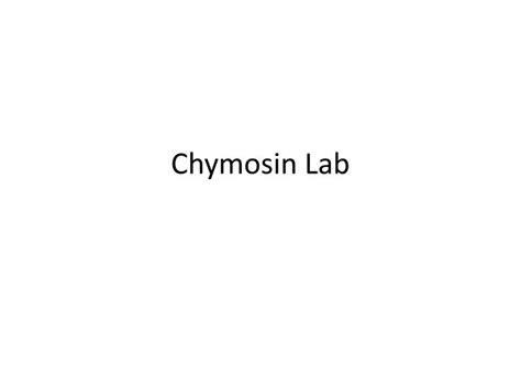 PPT - Chymosin Lab PowerPoint Presentation - ID:484941