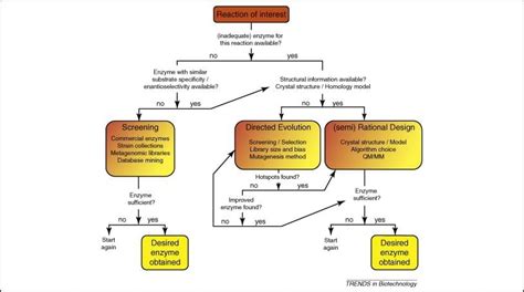 Enzyme Engineering - Creative Biostructure