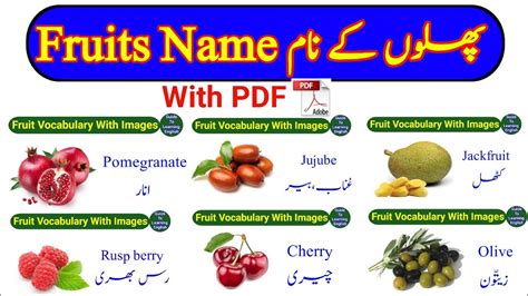 Fruits Name In Hindi And Urdu Learn Fruit Vocabulary With