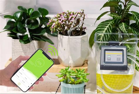 Tuya Sistema Di Irrigazione Automatico Smart Wifi Per Piante