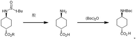 Cn B Preparation Method Of Trans Tert Butoxycarbonylamino