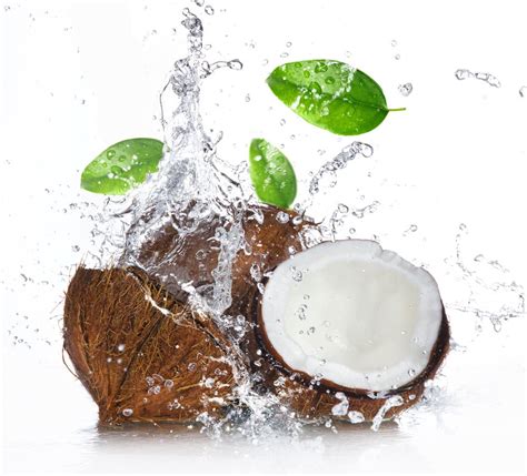 5 Reasons Coconut Water is the Ideal Hydration Beverage