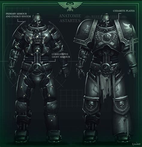 Space Marine Anatomy Warhammer Warhammer 40k Space Marine