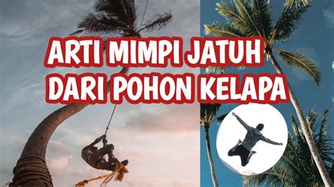 Arti Mimpi Jatuh Dari Pohon Kelapa Youtube