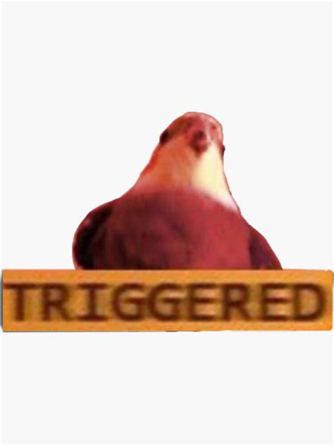 Triggered Bird Meme Sticker For Sale By Celestivl Redbubble