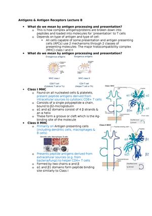 Antigens Antigen Receptors Lecture A B Cell Receptor Bcr Or T