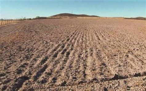 Campo Mexicano Está Abandonado El Sol De Durango Noticias Locales