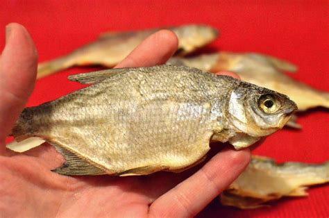 Pescados Salados Secados Vobla En Fondo Rojo Imagen De Archivo Imagen