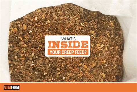 What’s Inside Your Creep Feed Vitaferm