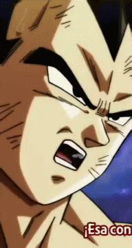 vegeta dragon balls gif vegeta dragon balls discover share gifs