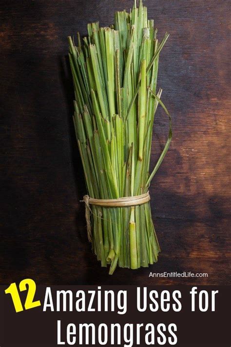 12 Amazing Uses For Lemongrass Artofit