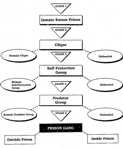 [PDF] Prison Gang Development: A Theoretical Model | Semantic Scholar