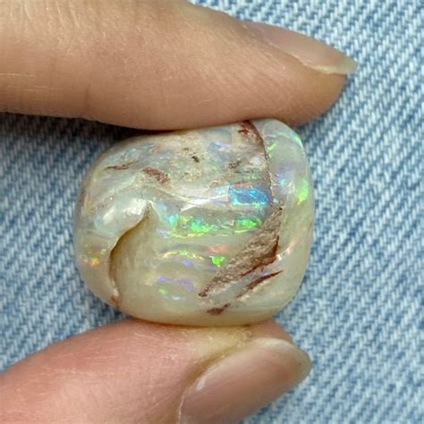 Opalised Fossil Shells For Selection Australian Opal Gem Shells