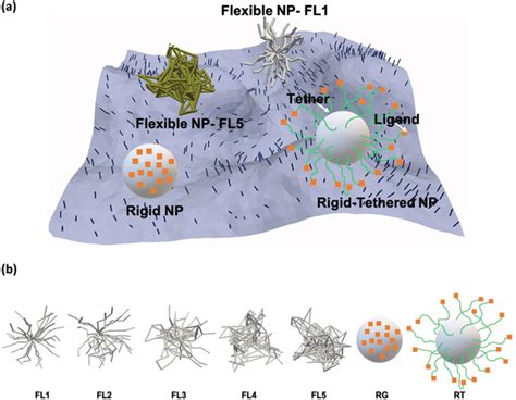 Computational Framework Of Multivalent Binding Of Ligand‐coated Download Scientific Diagram