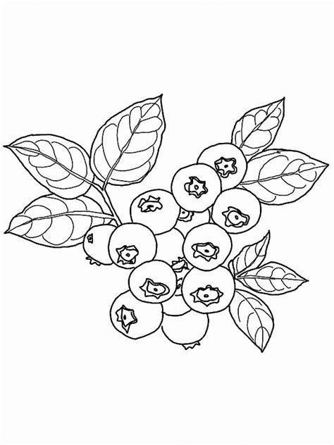 Blueberry Coloring Pages Best Coloring Pages For Kids