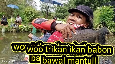 Mancing Babon Bawal Matul Tarikan Nya YouTube