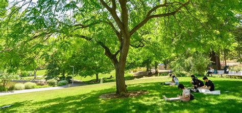 Freshman Admission Requirements Uc Davis