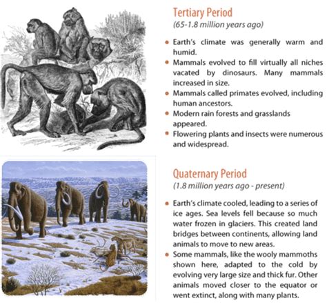 Cenozoic Era Plants