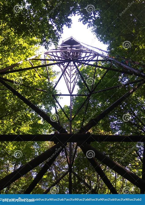 Watchtower Nature Forest Sky Foliage Stock Image Image Of Foliage