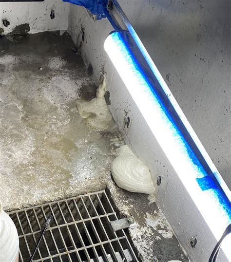 Elevator Shaft Repair And Water Control With Polyurethane Grout