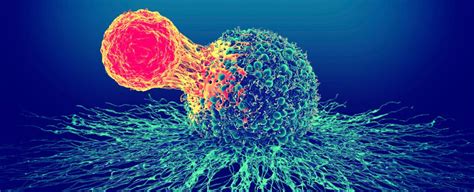 Newly Discovered T-Cells Could Rid Late-Stage Cancer Patients of Tumors : ScienceAlert