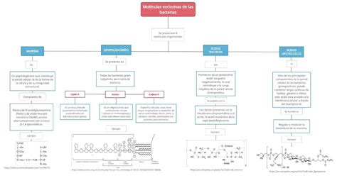 Mapa Conceptual Bacterias Udocz Porn Sex Picture