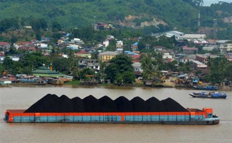 Sungai Mahakam Dipadati Kapal Tongkang Pengangkut Batubara Foto