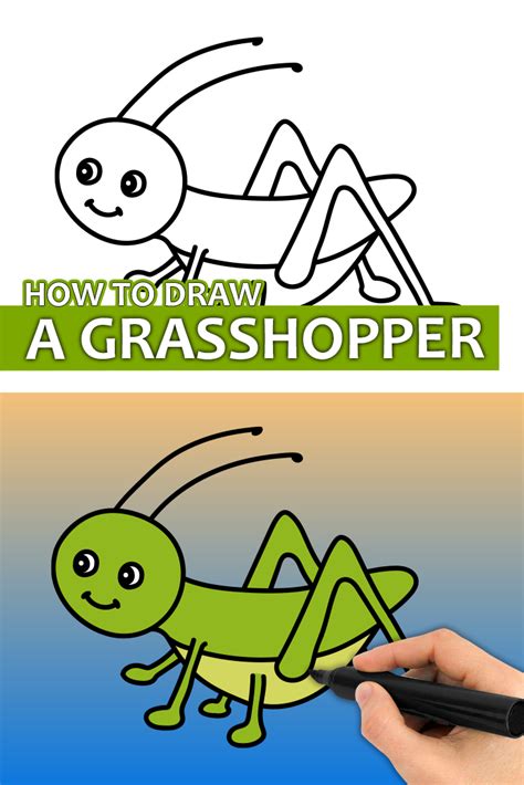 How To Draw A Grasshopper Easy Drawings For Kids Step By Step