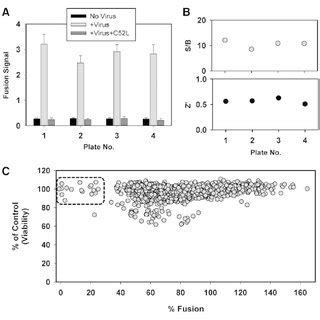 Principle Of The B Lactamase Assay For Quantifying Viruscell Fusion