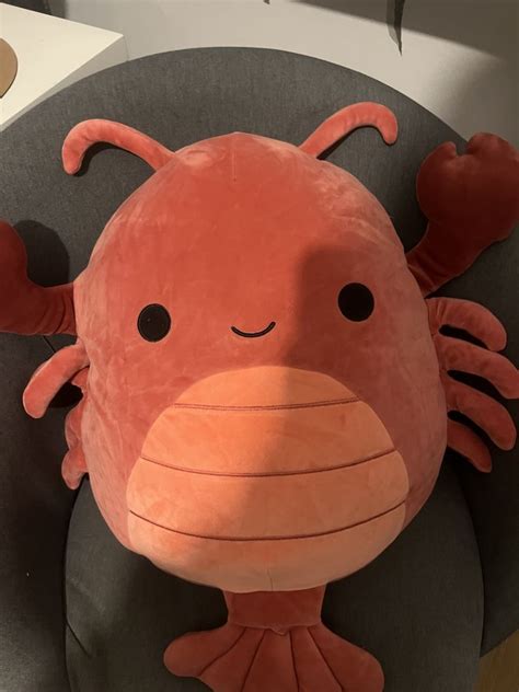 Squishmallows Lorono Szczecin Krzekowo Olx Pl