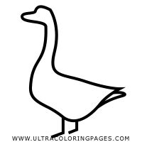 Uccello Disegni Da Colorare Ultra Coloring Pages