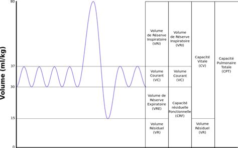 Volumes Et Capacit S Pulmonaires Yoga Ekongkar Pulmonary Function