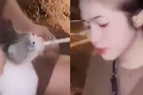 Heboh Video Wanita Di Tebing Tinggi Paksa Kucing Merokok Jadi Viral