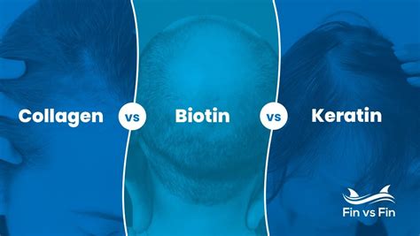 Collagen Vs Biotin Vs Keratin Understanding The Differences For Hair