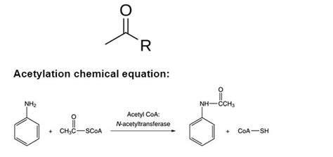 Notes On Acetylation By Unacademy