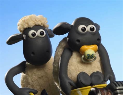 Ꮚ𝐒𝐡𝐚𝐮𝐧 𝐓𝐡𝐞 𝐒𝐡𝐞𝐞𝐩 ♬ Shaun The Sheep Sheep Cutie Patootie