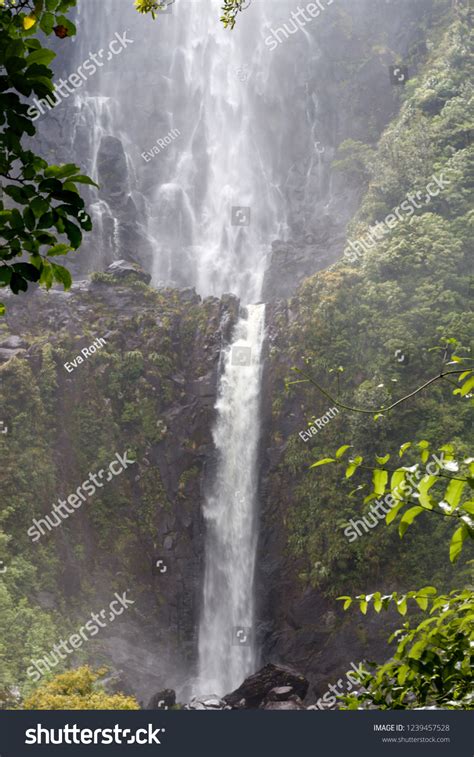 Rivendell Waterfall Stock Photo 1239457528 Shutterstock