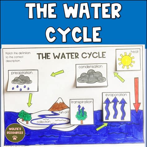 Water Cycle Diagram And Activity Etsy