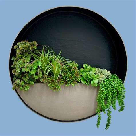 Circular Wall Planter - Europlanters