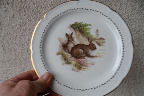 Plats Assiette Chasse Lapins Canards En V Ritable Porcelaine C G