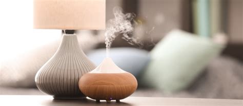 Beste Aroma Diffuser Deze Heb Je Nodig Test