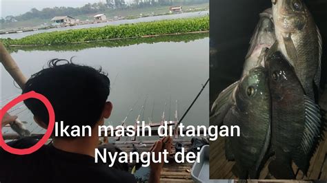 Ikan Masih Di Tangan Dapat Strike Lagi Mancing Saguling Terbaru 2023