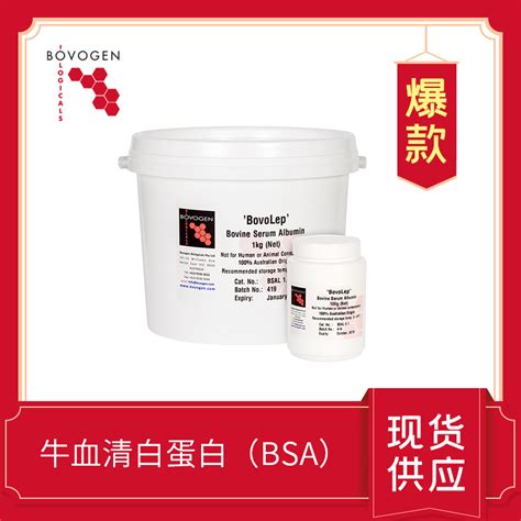 牛血清白蛋白 Bovine Serum AlbuminBSA Bovine Serum AlbuminBSA 细胞培养添加物检测试剂