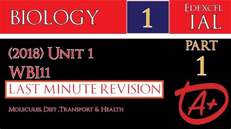 Ial Edexcel Biology 2018 Unit 1 Wbi11 Last Minute Revision Part 1