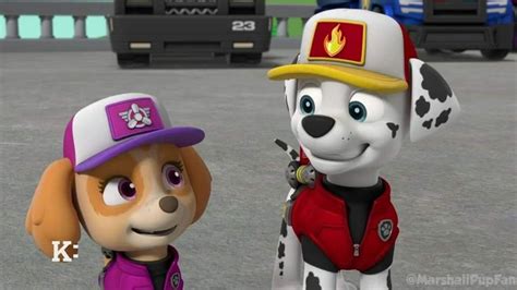 Paw Patrol Pups Skye Paw Patrol Paw Patrol Characters Mario