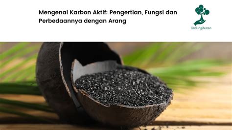 Mengenal Karbon Aktif Pengertian Fungsi Dan Perbedaannya Dengan Arang 163323 Hot Sex Picture