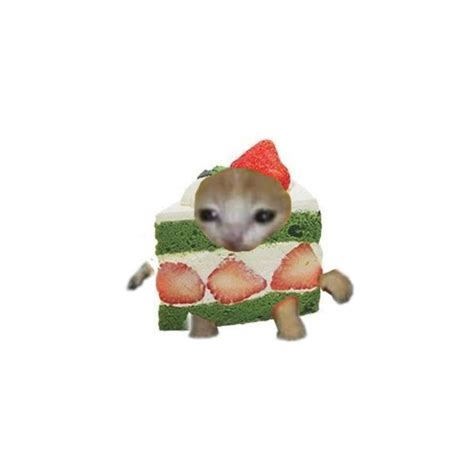 Pin On Food Cat