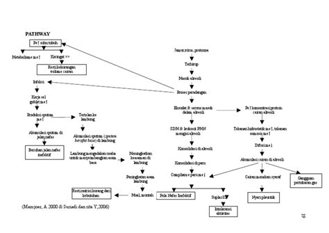 Pathway Pneumonia