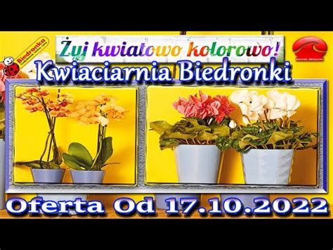 Biedronka Kwiatowe Inspiracje Biedronki Nowa Oferta Od 17 10 2022